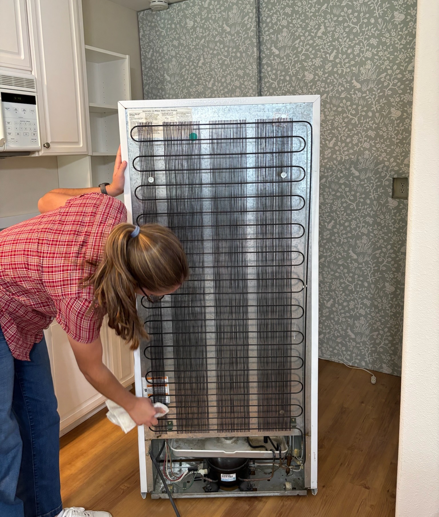 Person cleaning the exposed condenser coils on the back of a refrigerator